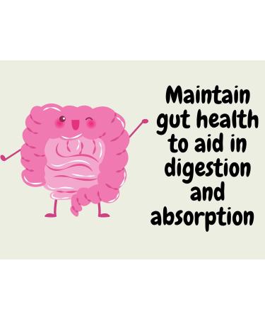 Kids Probiotic Vegan Gummies | 1 Billion Bacillus Coagulans | Gut Health & Immunity Support - Buy Online on GoSupps.com