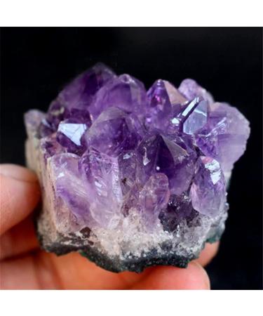 Amethyst Rough Stone 100-120g Natural Amethyst Clusters The Earth Clusters 2pc Amethyst Teeth Stone Mineral Specimen - Buy Online on GoSupps.com