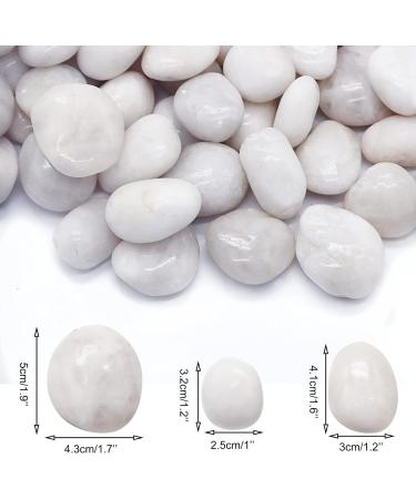 LONTOM 2.2lb White Pebbles Natural Decorative Stone Polished Gravel River Rocks for Plants Home DIY Decor Aquarium Gravel Vase Fillers Fairy Garden Landscaping Outdoor Stones - Buy Online on GoSupps.com