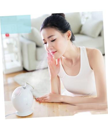 BIUDECO 1pc Facial Care Steamer Portable Face Steamer Portable Steamer Facial Spa Steamer Hair Steamer - Buy Online on GoSupps.com