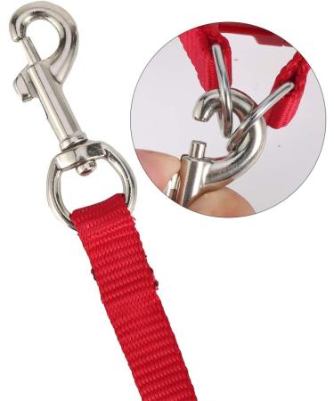 Felenny Bird Dishes & Leash - Adjustable Outdoor Accessories for Scarlet Macaw Sun Conure and Nymphensittich - Anti-Bite Protection (Large Red) - Buy Online on GoSupps.com