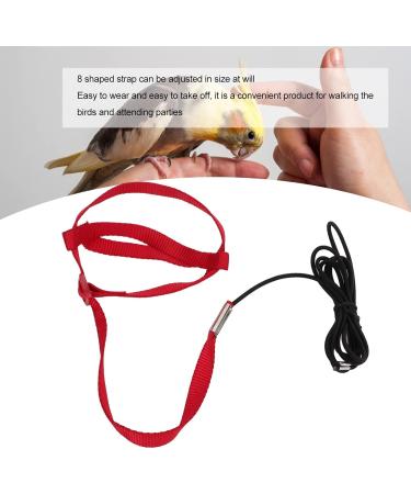 Buy Cyrank Bird Dishes & Adjustable Pet Leash for Outdoor Training | Perfect for Nymphensittich & Alexandriner Birds - Fast International Shipping - Buy Online on GoSupps.com