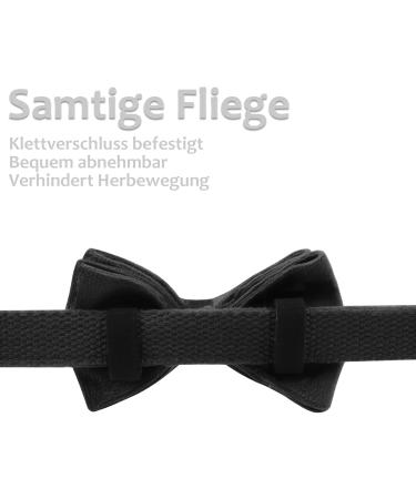 Shop Asvin Velvety Dog Collar - Soft & Comfortable Multi-Color Removable Dog Flying for Weddings & Parties - International Shipping - Buy Online on GoSupps.com