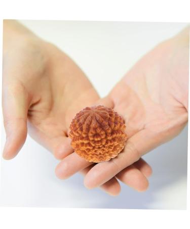 Frcolor 2-Pack Wooden Massage Balls - Decompression & Hand Therapy Aid for Gym & Home Use - Buy Online on GoSupps.com