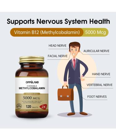 oppuland Methyl B-12 5000mcg Chewable with Folate - Vitamin B12 Methylcobalamin Sublingual Tablets - Supports Energy & Brain Function - Vegan Supplement - Orange Flavor - 120 Count - Buy Online on GoSupps.com