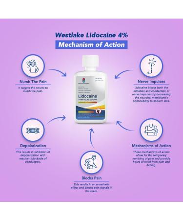 Westlake Lidocaine 4% Muscle & Joint Pain Relief Cream - Maximum Strength OTC (2 Pack) - Fast Shipping Worldwide - Buy Online on GoSupps.com