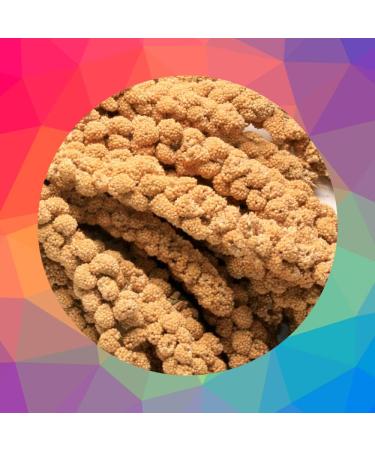 SKYGOLD Finest Millet Spray for Birds 1kg - Small Parrot & Budgie Treats Balanced & Healthy Cage & Aviary Millet for Budgies - Buy Online on GoSupps.com