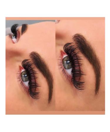 Buy Volume Eyelash Extensions 0.05/0.07 | Easy Fan CC/D Curl | 2D-20D Self Fanning Lashes | 8-15mm Length | Long Lasting Blooming Lashes - Buy Online on GoSupps.com
