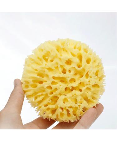 BOKIOESDE Natural Sea Sponge Super Soft And Skin Friendly Bathing Easy To Clean Natural Sea Sponges For Bathing Greek Sponge - Buy Online on GoSupps.com