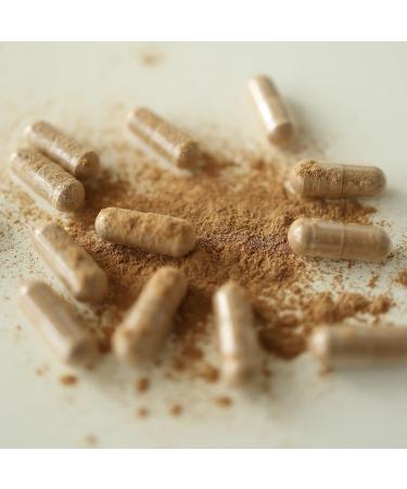 Nowful MindThrive Mushroom Complex Lion's Mane Turkey Tail Cordyceps Reishi & Shiitake Everyday Dose for Sharp Focus Natural Energy Calm Strength & Immune Health (60 Capsules) - Buy Online on GoSupps.com