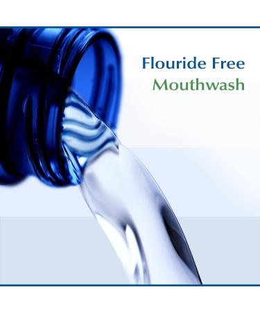 EcoDent Ultimate Sparkling Clean Mint Mouth Rinse with Essential Oils, Baking Soda, and Co-Q10 - 8 Fl Oz - Buy Online on GoSupps.com