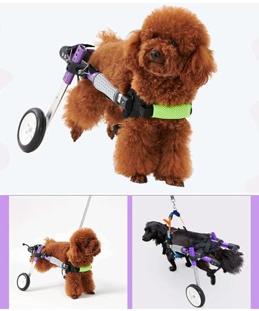 Dog Wheelchair For Paralyzed Back Legs Adjustable Cart Wheel Chair ( X) - Buy Online on GoSupps.com