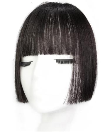 Bangs Hair Clip Clip in Hair Bangs Synthetic Hair Princess Cut Bangs Hair Piece Fringe Bangs Clip-on Quick Cosplay Bangs Hair Extensions Fake Straight Natural Fringe Hair for Women Bangs Clip in Hair Natural black - Buy Online on GoSupps.com