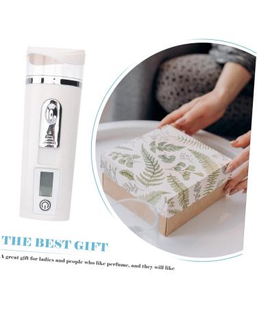 BIUDECO Hydrating Instrument Face Sprayer Portable Facial Mister Fog Humidifier Handheld Steamer White Abs - Buy Online on GoSupps.com