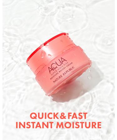 Nature Republic Super Aqua Max Moisture Watery Cream 2.7 Fl Oz - Best Hydration for Dry Skin | International Shipping Available - Buy Online on GoSupps.com