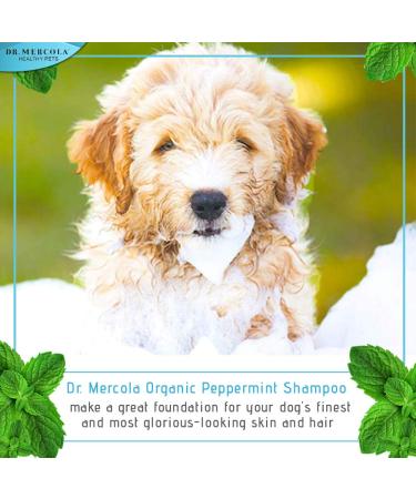 Dr. Mercola Organic Peppermint Dog Shampoo 8 oz - Healthy, Natural Care - Buy Online on GoSupps.com