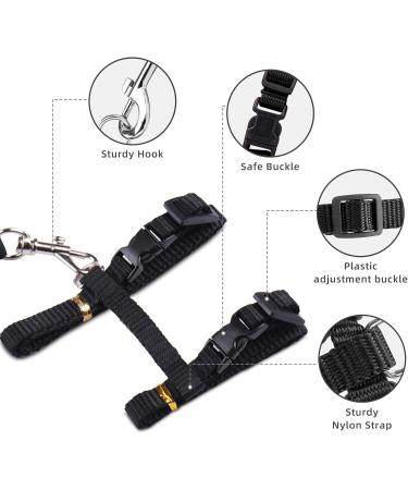 Adjustable Cat Harness & Leash Set - Escape-Proof Vest for Small Cats & Rabbits | 2 Pack with Pet ID Tags - Buy Online on GoSupps.com