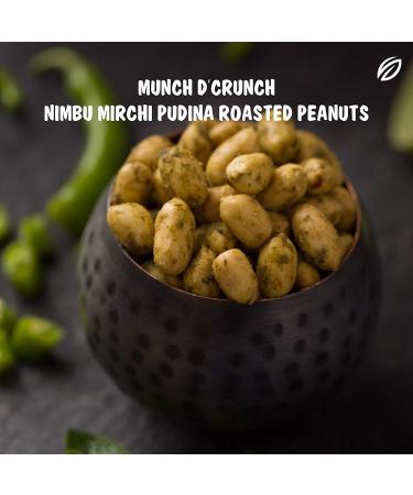 SHREGO Nimbu Mirchi Pudina Roasted Peanuts 140G - Buy Online on GoSupps.com