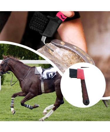 DHinkyoung Horse Hoof Pick Brush with Handle Sturdy Hoofpick Brush Horseshoe Brush Horses Hoof Groove Cleaner Horseshoe Repair Tool for Horses Donkey Goat Tires and Hiking Boots(Random Colour) - Buy Online on GoSupps.com