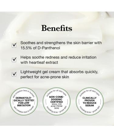 KIOSKIN 31% Reduction in Sebum & 15.5% High-Dose D-Panthenol Calms Redness Repairs Skin Barrier & Locks in Hydration With Heartleaf Extract & Hyaluronic Acid Korean Skincare Top Barrier Cream - Buy Online on GoSupps.com