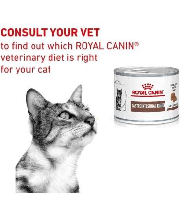 Kitten Wet Kitten Wet Food Gastrointestinal Kitten Ultra Soft Mousse 12x195g Cans Highly Digestible High Energy With Prebiotics and Omega 3 Fatty Acids - Buy Online on GoSupps.com