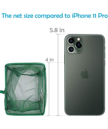 Pawfly 4 Inch Aquarium Net - Fine Mesh Small Fish Catch Net with Plastic Handle (Green, 1 Pack) - Buy Online on GoSupps.com