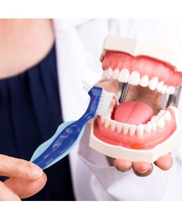 Denture Box & Cleaning Set | Aligner Removal Tool | Retainer & Partial Tooth Containers | Dental Care Solutions - Buy Online on GoSupps.com