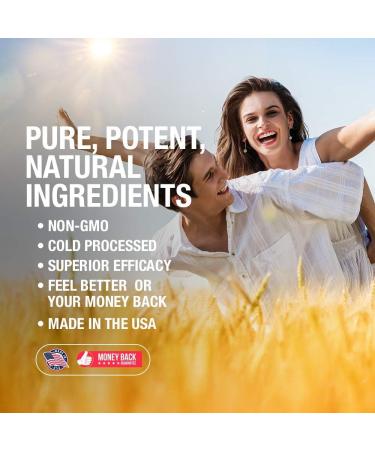 HoneyCombs Vitamin B7 (Biotin) Drops - Liquid Biotin Hair Skin Nails Supplement - Alcohol-Free Non-GMO Vitamin Liquid - 1 Fl Oz - Buy Online on GoSupps.com