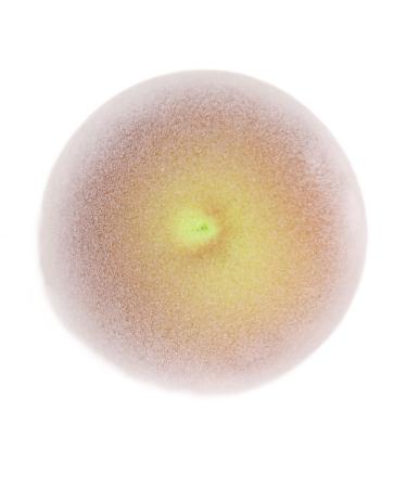Buy Cute Kiwi Shape Makeup Sponge - Dual Use Wet & Dry Elastic Beauty Sponge for Liquid & Powder Cosmetics | Perfect Fruit Shaped Makeup Tool - Buy Online on GoSupps.com