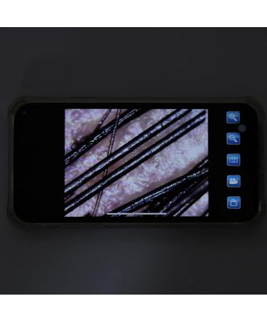 D tecteur de Piliferi largissement des R sultats Pr cis 800x Images Claires Compactes Diagnostic Lumi re LED Blanche l'analyseur Cheveux Usage Domestique - Buy Online on GoSupps.com