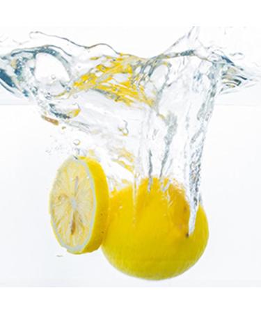Dried Yellow Lemons Sugar-Free Dried Fruits Decoration Candy Christmas Drinks Dried Lemon Slices 100% Natural No Additives 80g - Buy Online on GoSupps.com