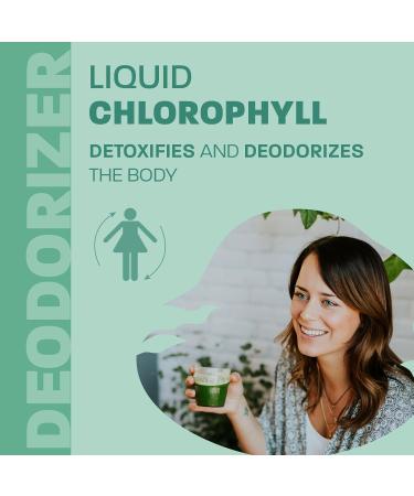Liquid Chlorophyll Apple 500ml Cold Extracted from Non-GMO Alfalfa - Detox - Alkaline - Natural Body Deodorant Antioxidant - Made in Canada - Buy Online on GoSupps.com