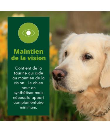EQUILIBRE & INSTINCT - Older Dog - Poultry Wet Food Pat - Maintains Joint Health - Complete Recipe Formulated with Veterinarians - 9x300g - Made in France - Buy Online on GoSupps.com