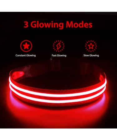 Buy Waterproof Luminous Dog Collar - Adjustable LED Flashing Light for Small & Medium Dogs | Enhanced Night Visibility (Red 28-40cm) - Buy Online on GoSupps.com