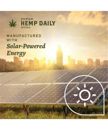 Triple Strength Hemp Daily Intensive Cream 1.7 oz - Vegan Organic with Essential Oils (3 Pack) - Buy Online on GoSupps.com