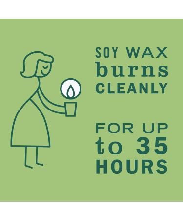 Mrs. Meyer's Clean Day Soy Candle Iowa Pine - 7.2 oz (Pack of 6) | Eco-Friendly & Long-Lasting Scented Candles for International Shipping - Buy Online on GoSupps.com