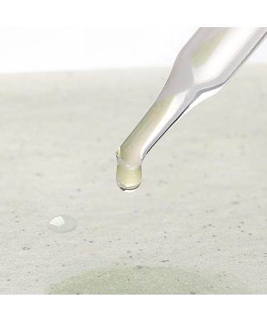 250 Pcs Oil Blotting Sheets with Mirror - Soft, Compact, Portable Paper for Party | Oil Control Solution - Buy Online on GoSupps.com