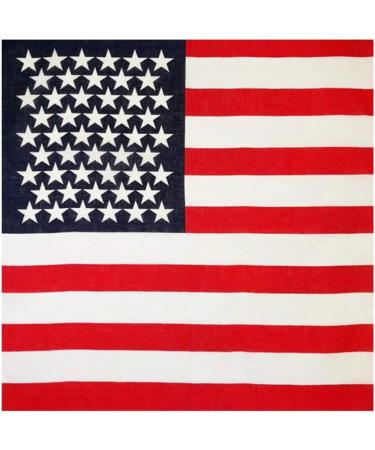 Valiclud Triangle Dog Bandana - American Flag Scarf & Multifunctional Pet Collar Accessories for Dogs - Buy Online on GoSupps.com