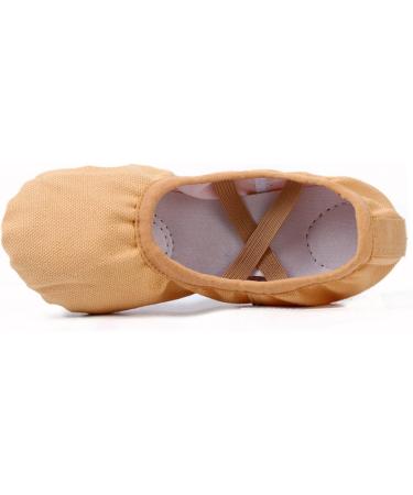 Buy Lurrose Foldable Ballet Shoes - Travel Friendly Stretch Sole Ideal for Ballet & Yoga - Comfortable Slippers for Dance Exercises - Buy Online on GoSupps.com