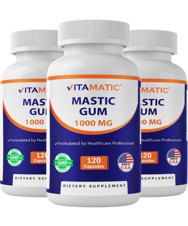 Vitamatic Mastic Gum 1000mg 3 Pack (360 Capsules Total) Support for Digestive Function, Gastrointestinal Health, Immune System & Oral Wellness