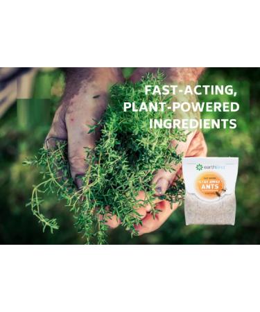 Stay Away Ants & Cockroaches Deterrent Pest Control Scent Pouches - 12 Pack | Natural & Eco-Friendly | No Mess Solution - Buy Online on GoSupps.com