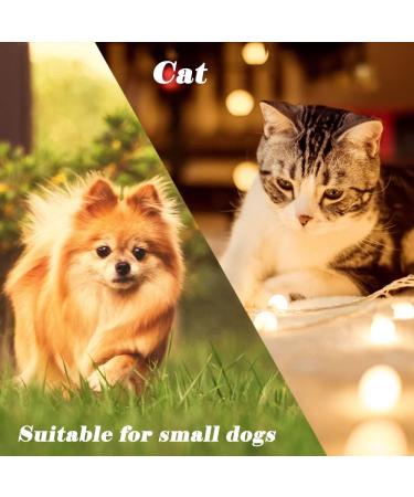 Copper Bell for Small Pet Collar 0.7 inch Bell for Cats and Little Dogs Collar Bell TrackerNoise NOT Loud Come with Silver Pet Anti-Lost ID Pendant Tags (2Set) - Buy Online on GoSupps.com