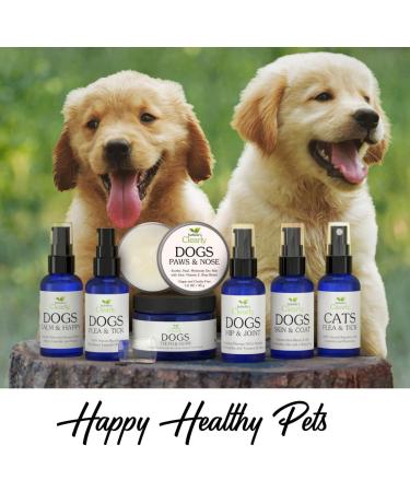 Clearly SKIN & COAT Topical Oil for Dogs | Relieve Dry Itchy Skin Add Shine to a Dull Coat Reduce Shedding with Coconut Olive and Almond Oils | Vegan Pet Product Made in The USA - Buy Online on GoSupps.com