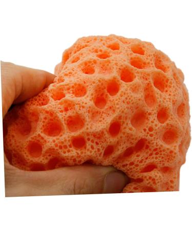 minkissy Bath Shower Sponges for Bathing Shower Loufa Sponge Infant Bath Sponge Kids Bath Sponges Bathing Exfoliator Brush Face Facial Exfoliator Sponge Dish Exfoliating Fruit - Buy Online on GoSupps.com