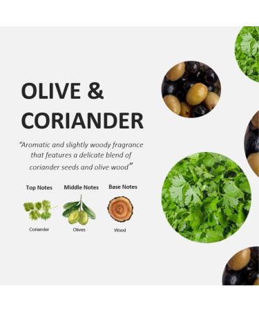 Fruit & Passion Cucina Coriander & Olive Mini Hand Soap Refill (250ml) and Nourishing Hand Cream (50ml) Holiday Gift Set Bundle - Buy Online on GoSupps.com