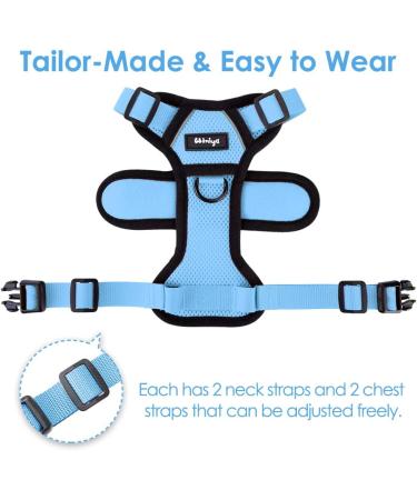 Breakproof Cat Leash Set & Adjustable Soft Kitten Vest - Reflective Stripes - Light Blue - Perfect for Small Kittens - Buy Online on GoSupps.com