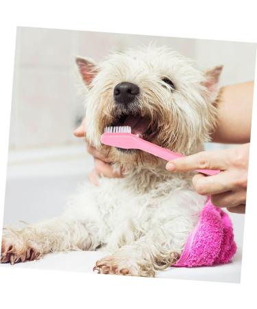 HANABASS 8pcs Double Head Dog Toothbrush Cat Care Pet Toothpaste Pet Oral Health Dual-head Brush Pp 1 count (Pack of 1) As Shown - Buy Online on GoSupps.com