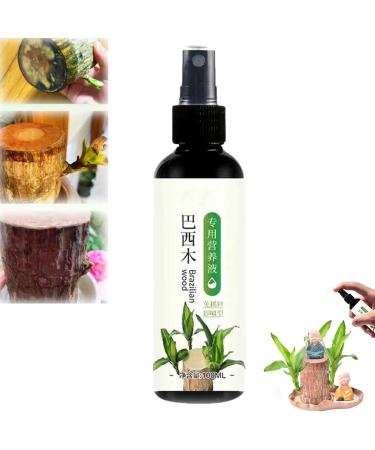 Brazilian Wood Plant Food Lucky Bamboo Liquid Fertilizer Lucky Brazilian Wood Houseplant Fertilizer Brazilian Wood Flowering Special Nutrient Solution (1pcs)