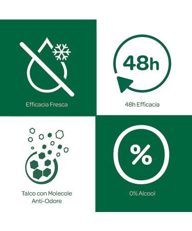  Italian Gourmet E.R. Borotalco Giallo Roll-On Active Deodorant Alcohol Free Talc with Odour Molecules 48 Hours Cedar Lime Scent 50 ml + Italian Polpa Gourmet 400 g (Pack of 12) - Buy Online on GoSupps.com