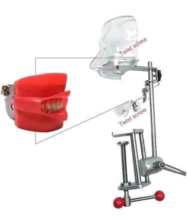 CEEBUS Dental Simulator Manikin Phantom Head - Teaching Mouth Head Model Fix on Chair Replaceable Typodont Tooth Model 360-Degree Adjustment for Dentists & Dental Assistants and Hygienists kk852 - Buy Online on GoSupps.com